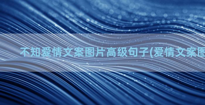 不知爱情文案图片高级句子(爱情文案图片 配图)